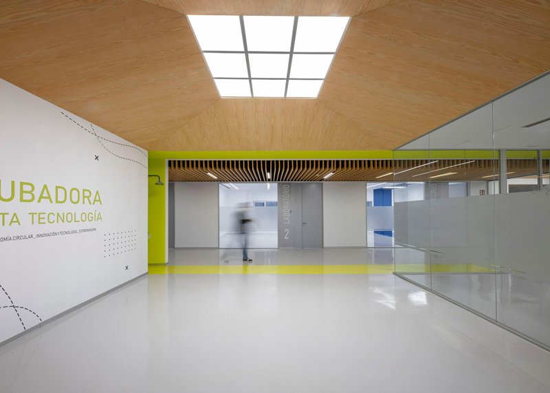 Interior corridor with timber slat ceiling, central skylight, yellow accent wall and glass-walled offices