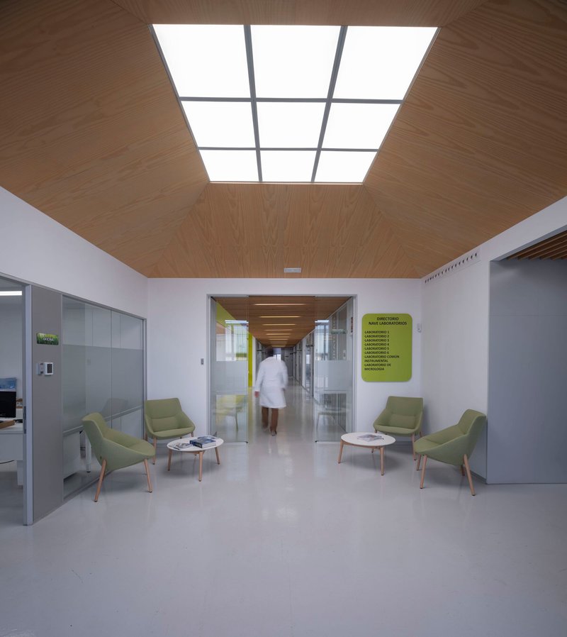 Reception area with timber-clad ceiling skylight, green armchairs and a figure passing through glazed doorway