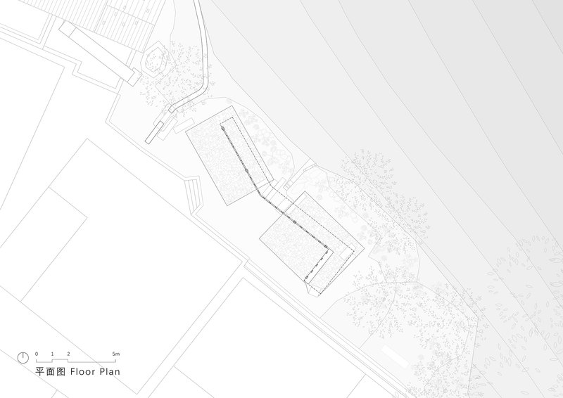 Floor plan drawing depicting elongated curved volumes with central circulation spine and surrounding trees