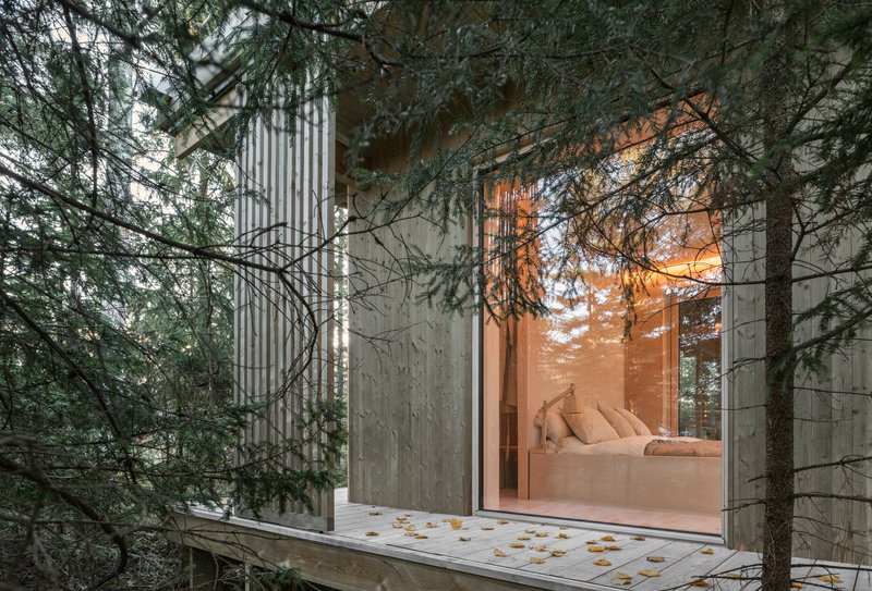 Timber deck scattered with autumn leaves leading to the glazed bedroom opening