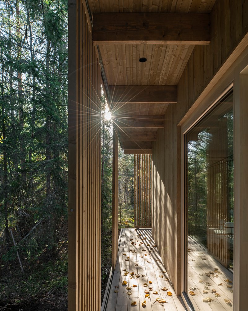 Narrow wooden corridor framing low sunlight through surrounding coniferous forest trees