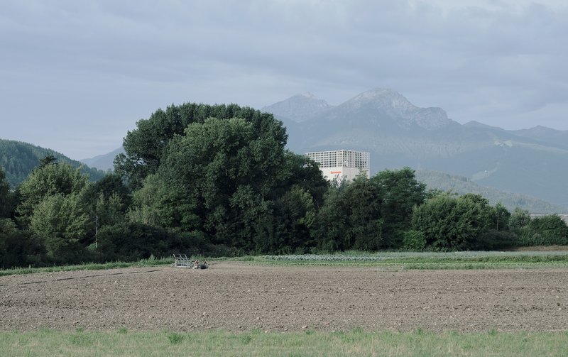 Distant view of the tower with latticed crown emerging behind dense tree line and plowed fields