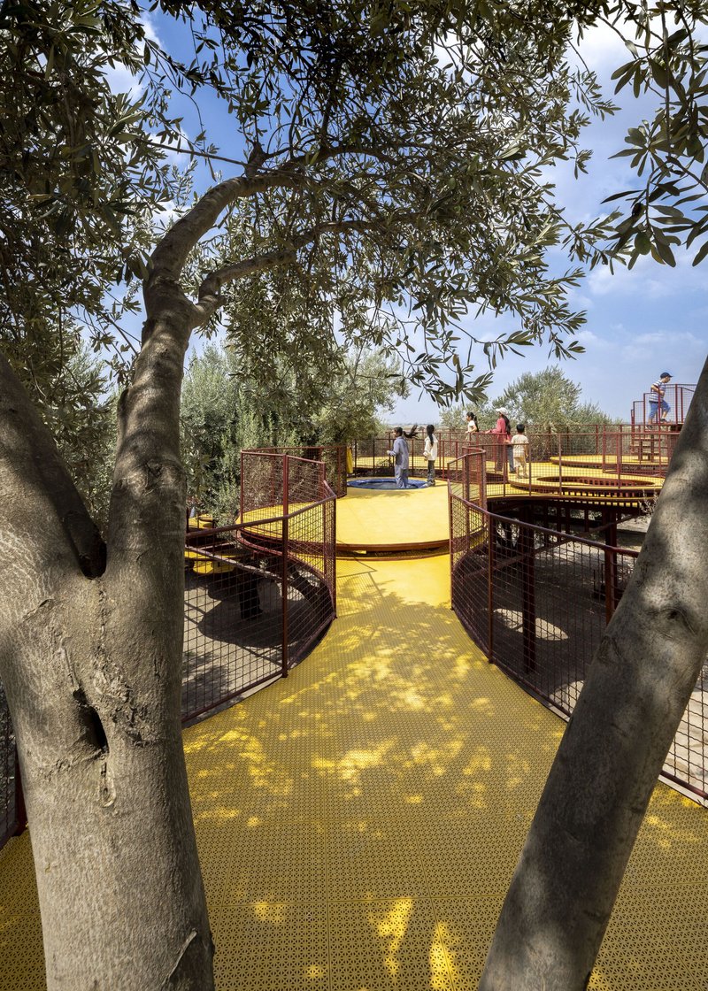 View through olive tree trunks toward yellow walkways with mesh railings and visitors in sunlight
