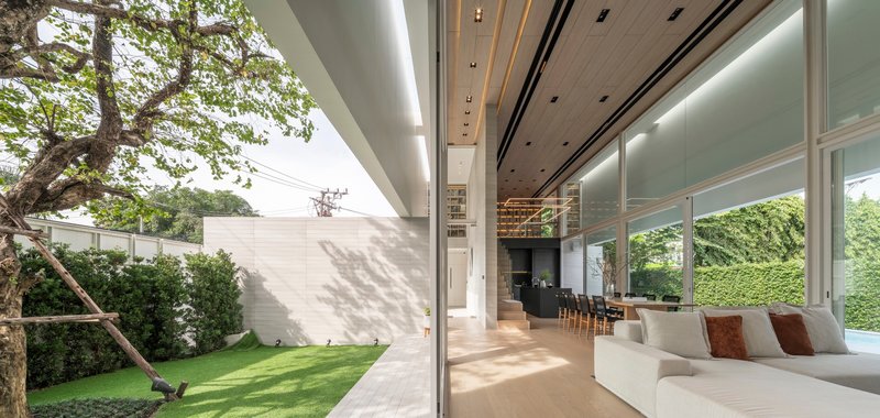 View through glass walls to the side courtyard with lawn and dappled tree shadows on white boundary wall