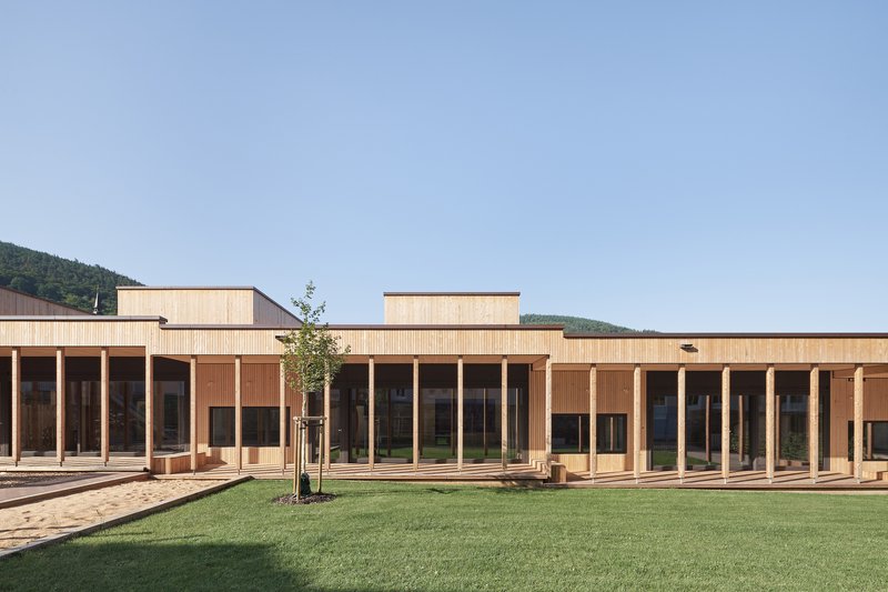 Courtyard view of the timber-clad volumes with columned porticos and a young tree on lawn