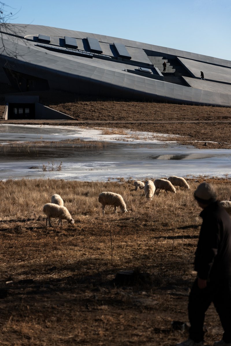 Angled dark metal roof plane rising above a frozen marsh with grazing sheep and a shepherd