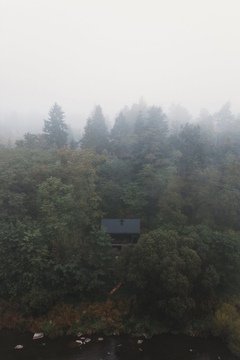 Distant view of the metal-roofed cabin nestled among evergreens in heavy morning fog