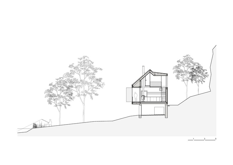 Section drawing showing a multi-level residence on a sloping site with adjacent trees