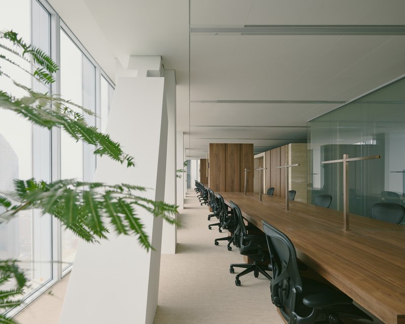 Long workspace with timber desks and fern branches in foreground near window wall and columns