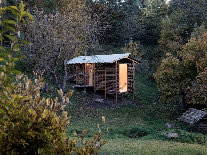Elevated cabin with corrugated metal roof and timber slat screen nestled among autumn trees
