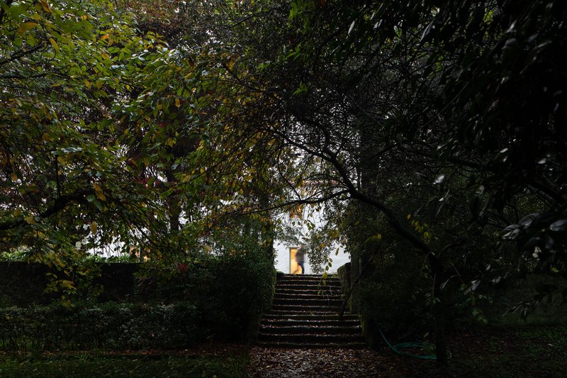 Stone staircase ascending through dense foliage toward an illuminated doorway at dusk