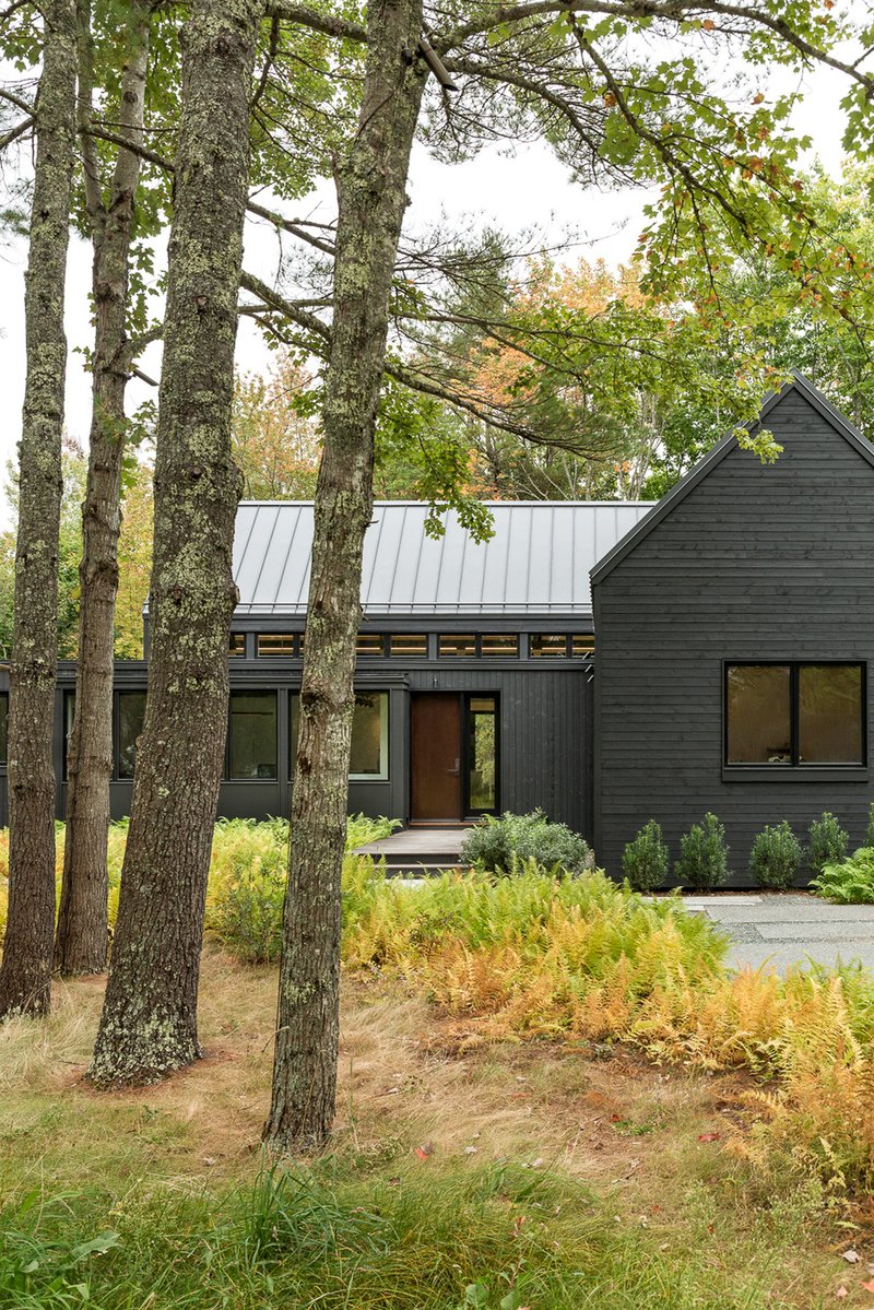 Dark wood-clad facade with standing seam metal roof viewed through a grove of tall trees in autumn