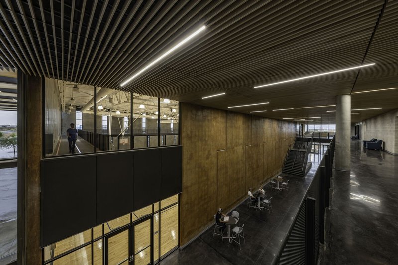 Upper-level circulation corridor overlooking gymnasium with wood-clad volume and linear ceiling lights