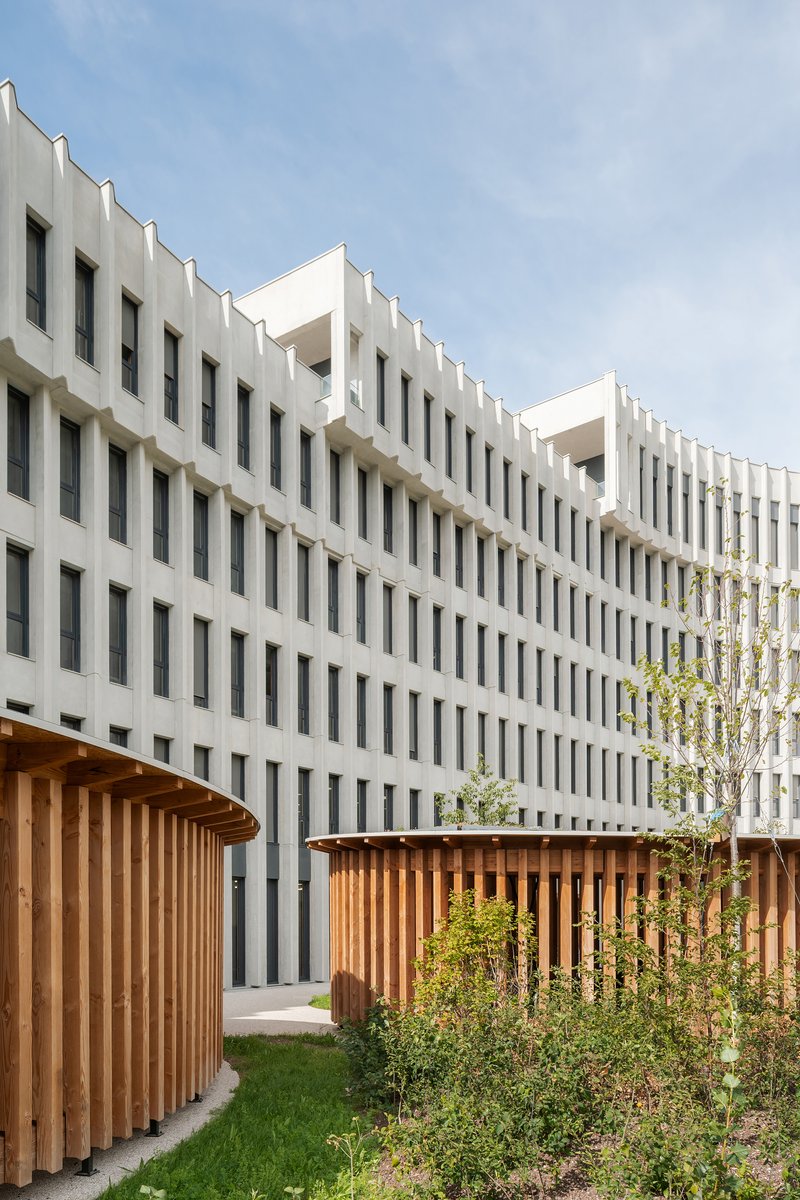 Courtyard with vertical slatted white facade above timber screens and planted beds