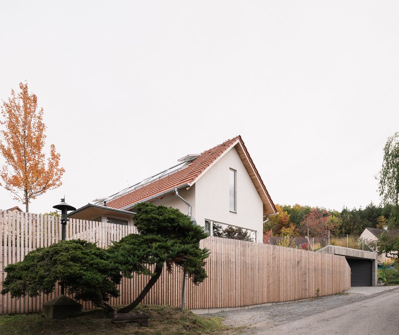 Street elevation showing vertical timber screen wrapping garage base and sculpted pine tree