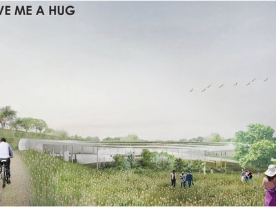 Give Me a Hug: A Wildlife Conservation Architecture Sanctuary for Humans, Koalas, and Nature