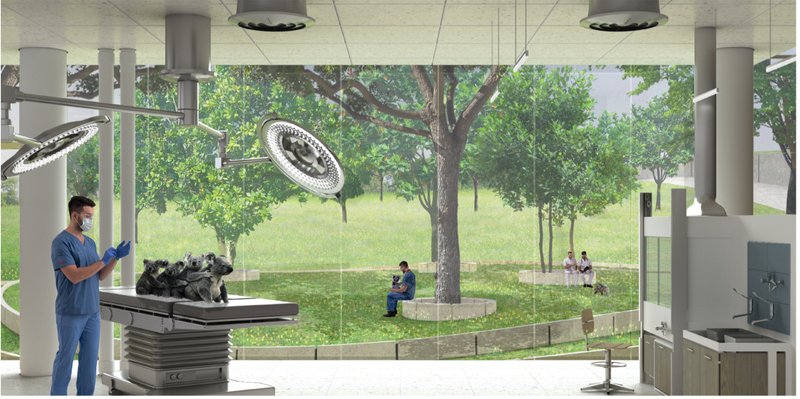 State-of-the-art rehabilitation and treatment facilities overlook natural habitats, connecting wildlife care with ecological awareness.