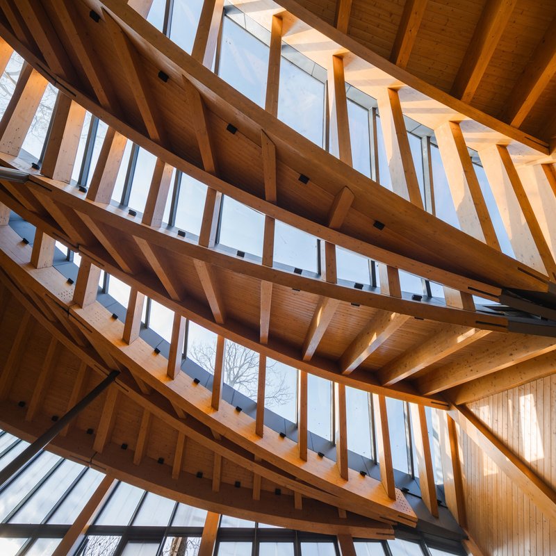 Upward view through laminated timber beams and clerestory windows with natural light