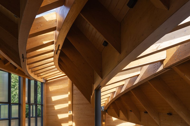 Upward view of curved laminated timber beams and rafters with sunlight streaming through linear skylights