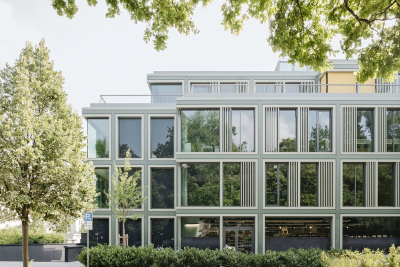 Glass facade with vertical fin elements framed by overhanging tree branches in summer