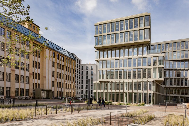 Courtyard plaza with planted grasses looking toward the cantilevered glass facade volumes