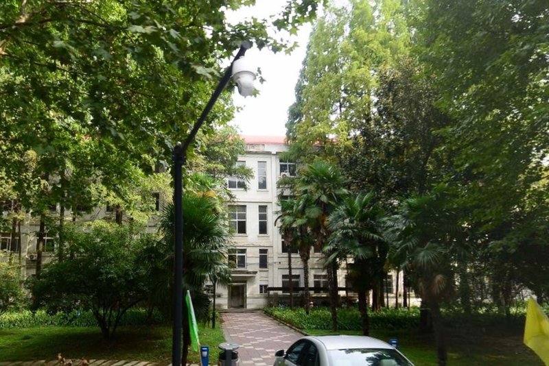 Tree-lined pathway leading to a white facade building glimpsed through dense foliage