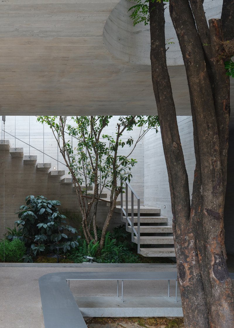 Interior courtyard view showing concrete staircase alongside preserved tree trunks and planted greenery
