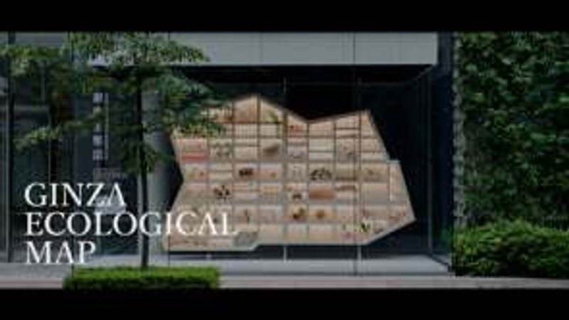 Illuminated timber ecological map installation set within a dark frame surrounded by greenery