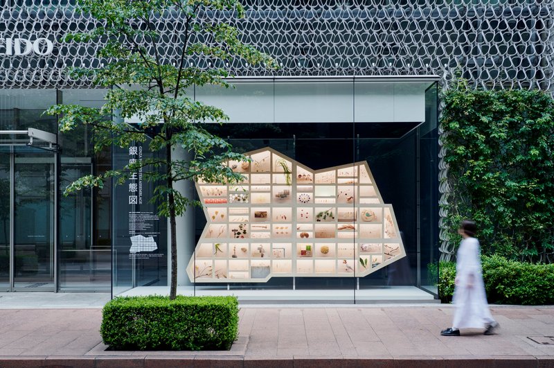 Street view of the glass storefront displaying a pentagonal plywood shelf grid filled with material specimens