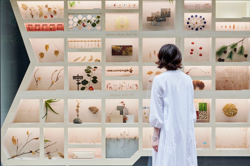 Visitor in white coat examining a grid of compartments containing botanical and material specimens