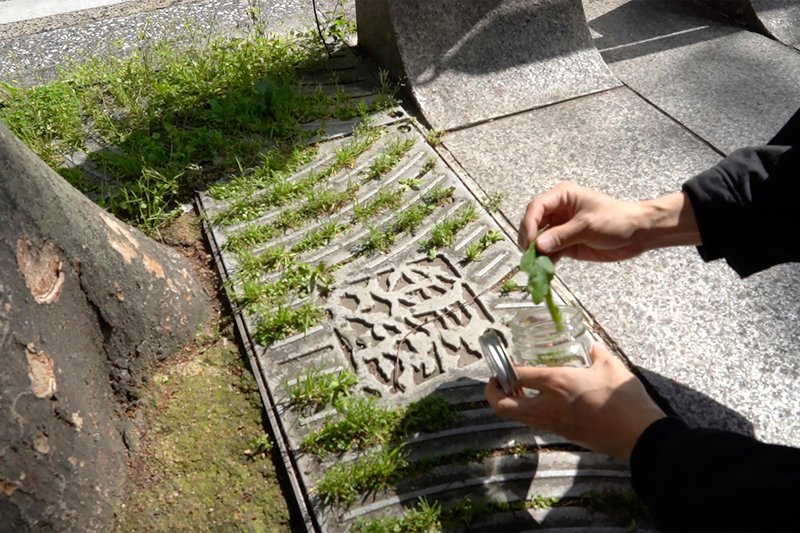 Hand placing a leaf into a glass jar near a decorative metal grate with moss below