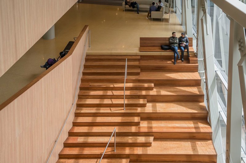 Wide timber staircase with stepped seating and people sitting in sunlight from the glazed facade