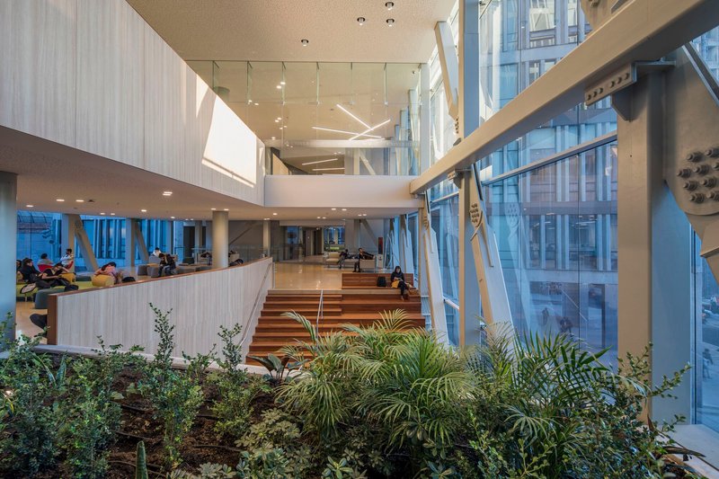 Double-height atrium with planted interior garden, timber steps, and floor-to-ceiling glazing overlooking the courtyard
