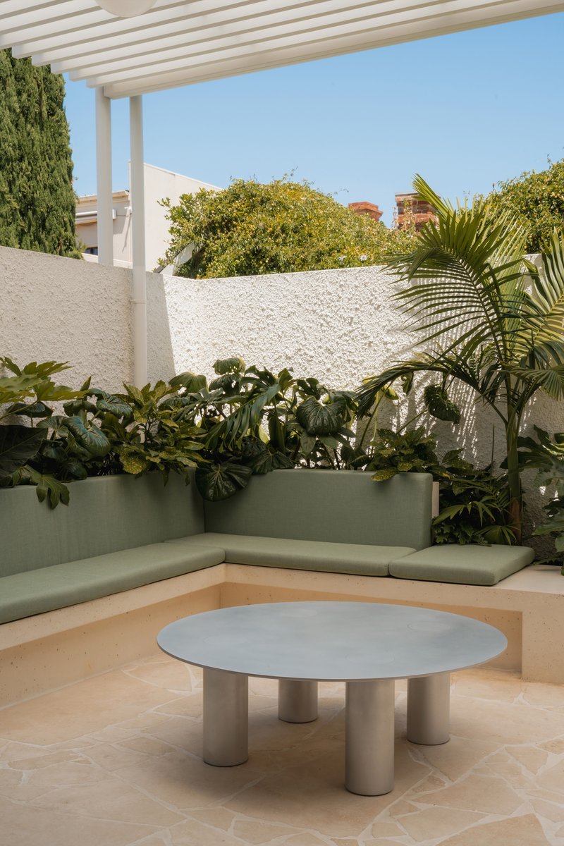 Rooftop terrace with built-in seating, planted bed with palms, and timber pergola under clear sky