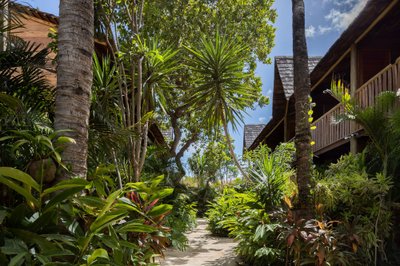 This architectural image showcases a tropical pathway lined with lush vegetation, leading between wo