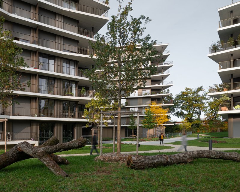Stacked balconies with timber screens between two residential blocks and fallen tree trunks in the foreground