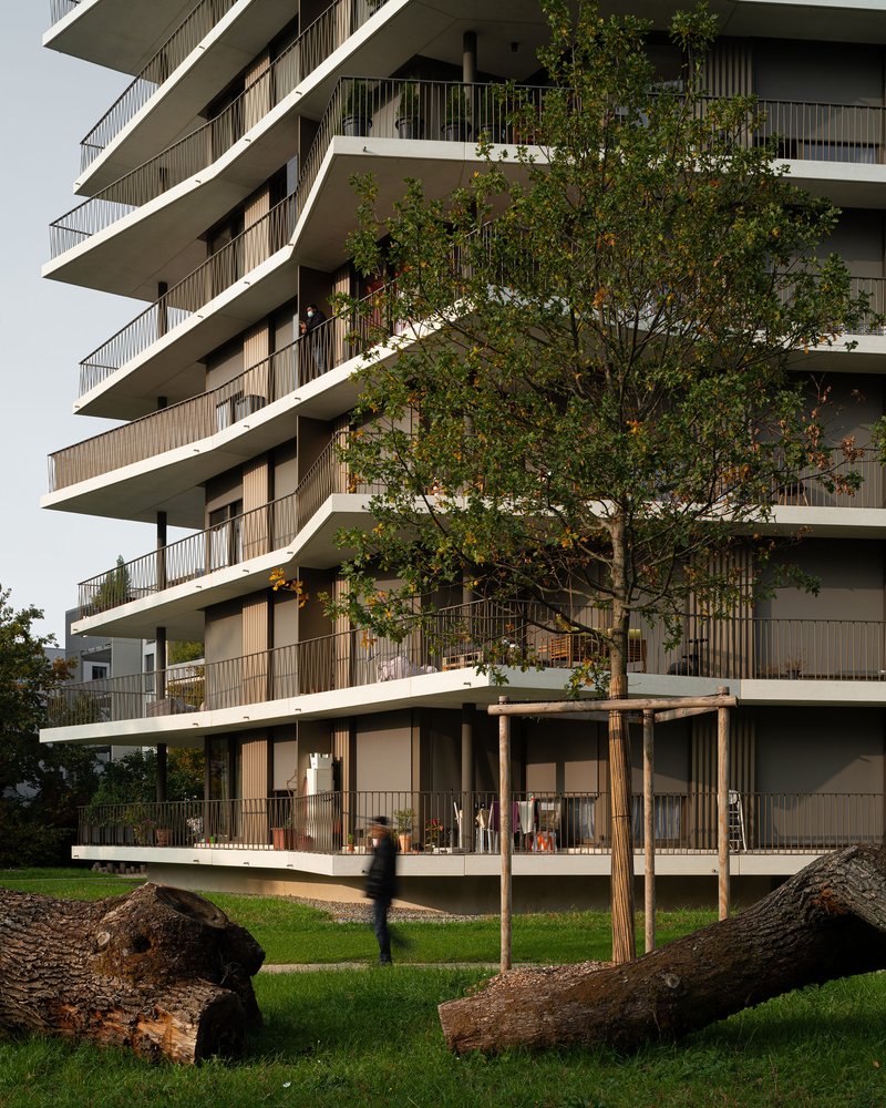 Stacked concrete balconies with vertical timber screens and a young tree growing beside fallen logs in the lawn