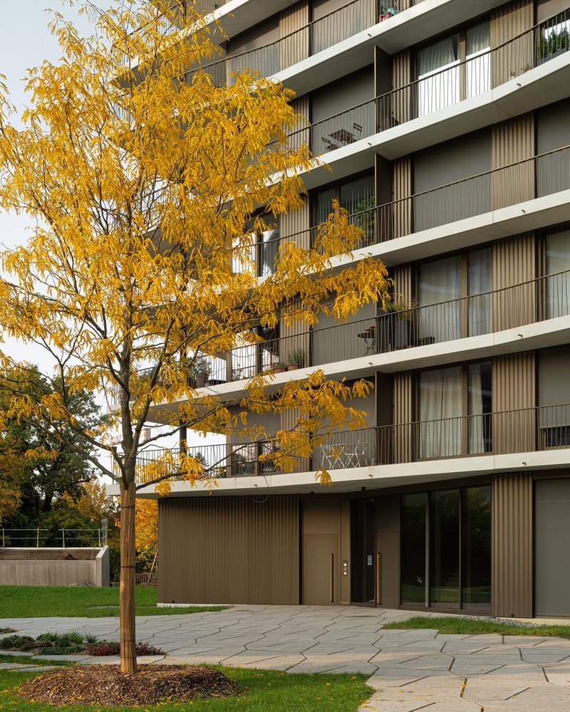 Ground floor entrance with ribbed metal cladding and glass doors beneath yellowing autumn trees and paving stones