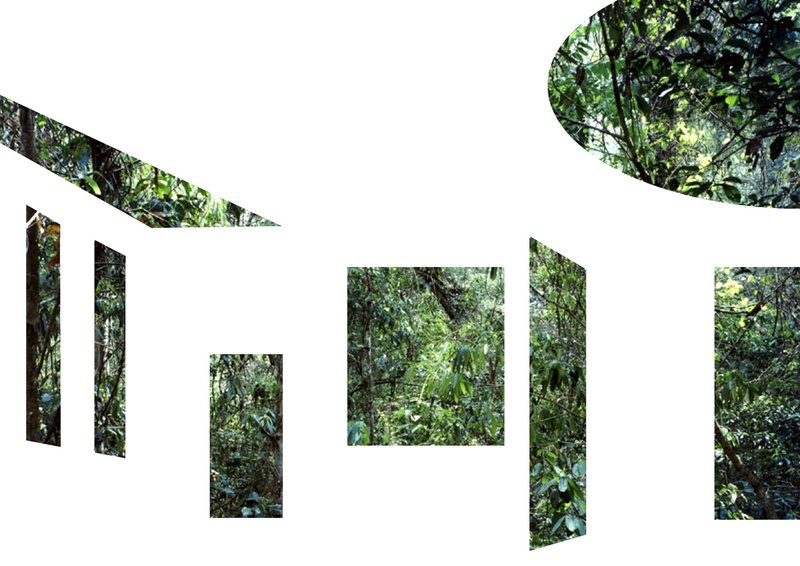 Elevation diagram with cutout shapes revealing dense tropical foliage behind the white surface