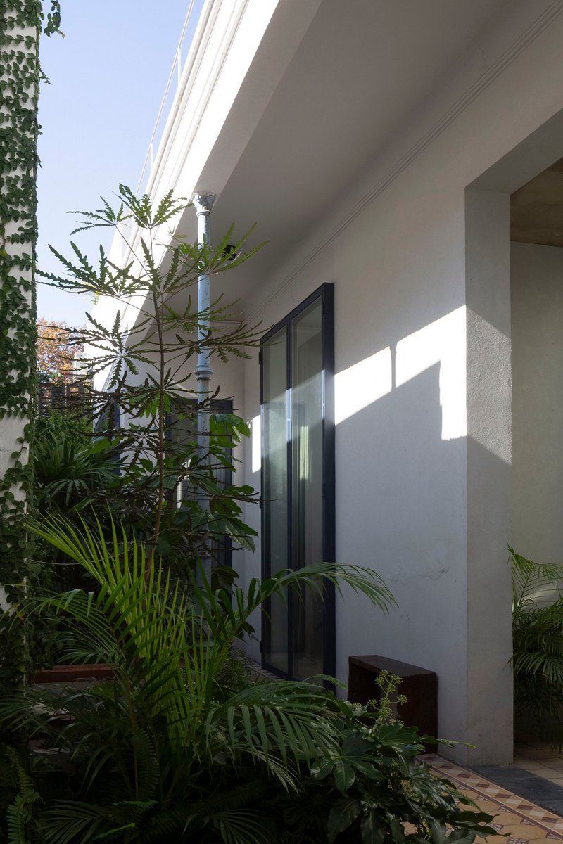 Exterior terrace planted with palms and tropical foliage beside a sliding glass door in afternoon sun