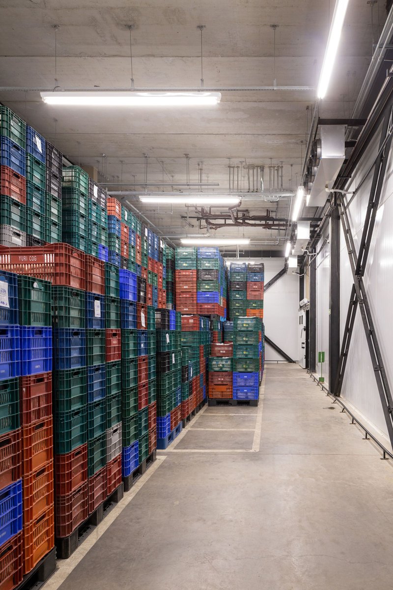Storage area with stacked plastic crates in red, green, and blue beneath exposed concrete ceiling