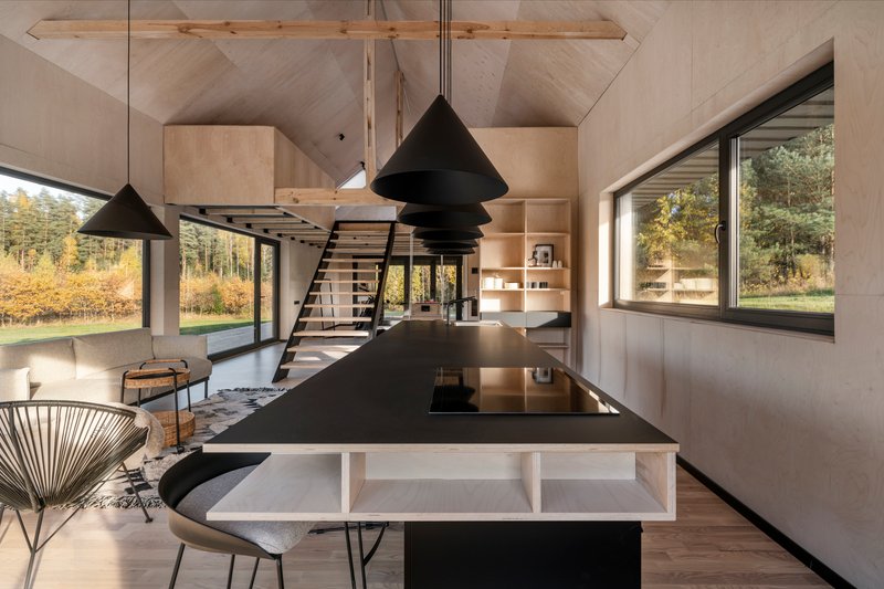 Open kitchen with black island beneath conical pendant lights and plywood vaulted ceiling