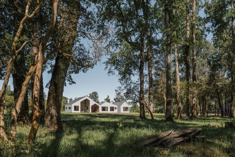 White gabled volumes seen through a grove of tall trees in afternoon light