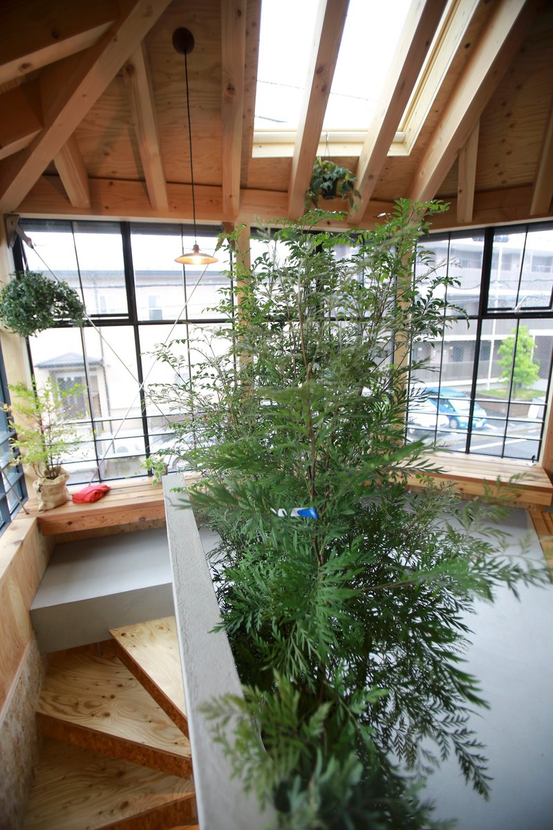 Upper level greenhouse with sloped timber rafters, skylights and a central tree planted in the floor