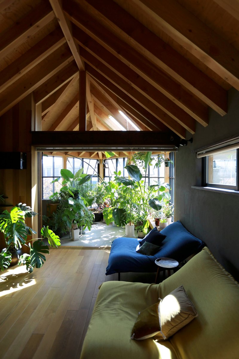 Interior living space beneath exposed timber rafters with gridded window framing potted greenery