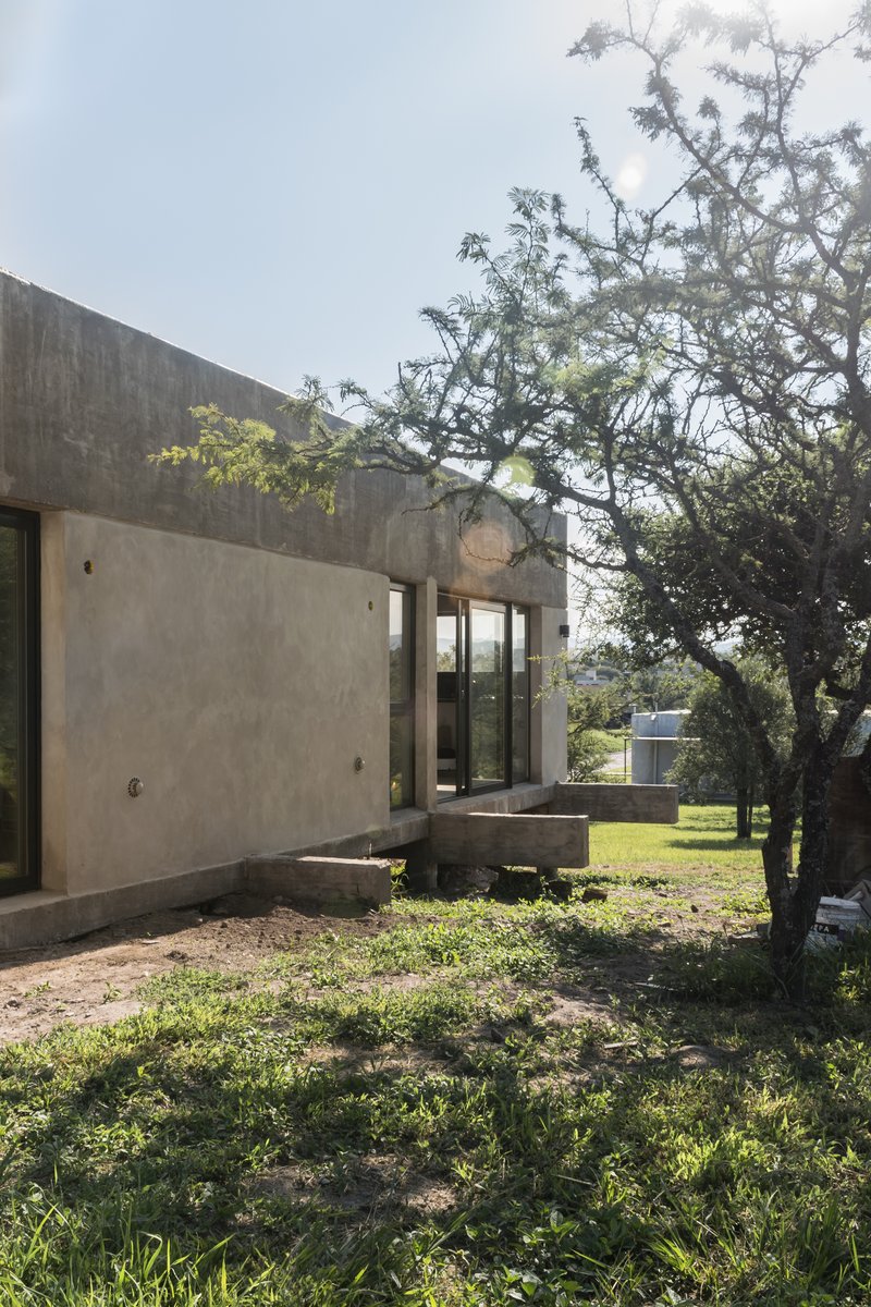 Board-formed concrete facade with corner glazing and balcony alongside a gnarled mature tree