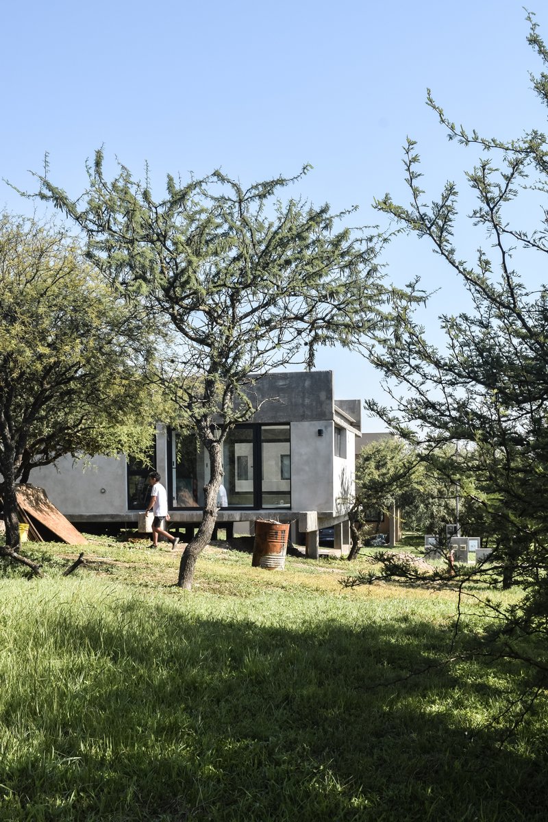 ODA Lifts a Concrete Pavilion Above Córdoba's Carob Trees on a Tight Budget