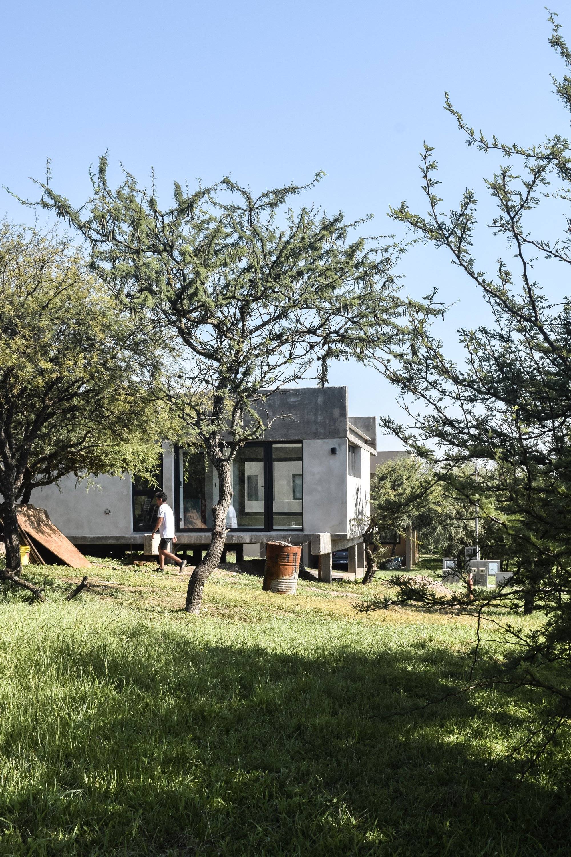 ODA Lifts a Concrete Pavilion Above Córdoba's Carob Trees on a Tight Budget