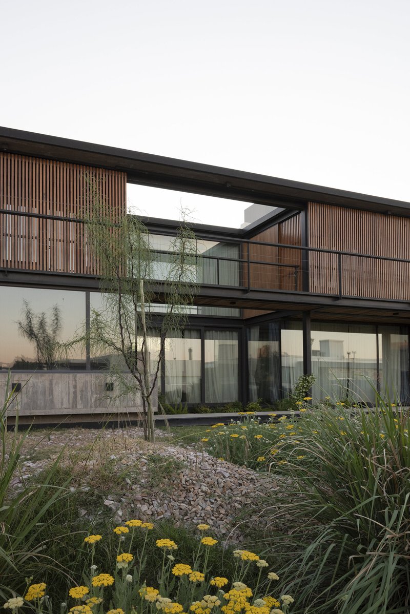 Courtyard elevation with timber slat screens, steel framing and planted gravel bed with yellow flowering plants