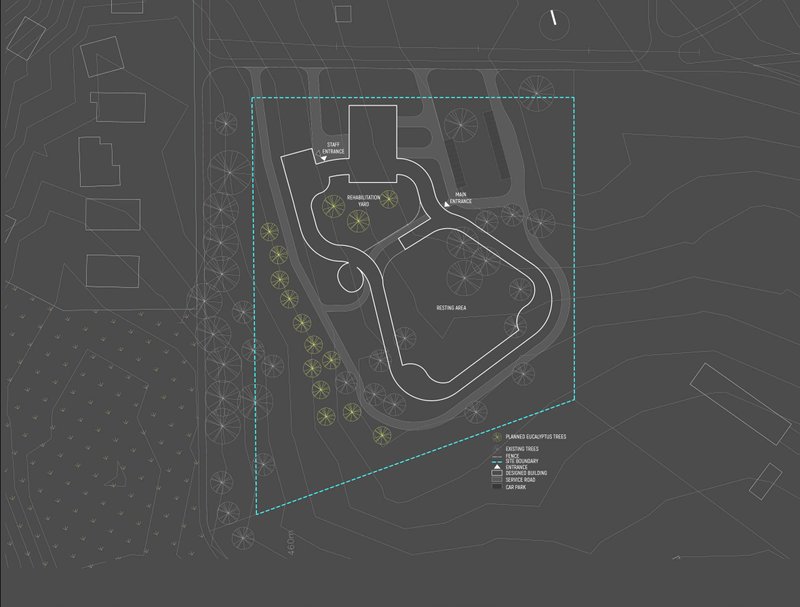 Site plan showcasing rehabilitation yards, visitor routes, preserved vegetation, and the project's relationship with the terrain.